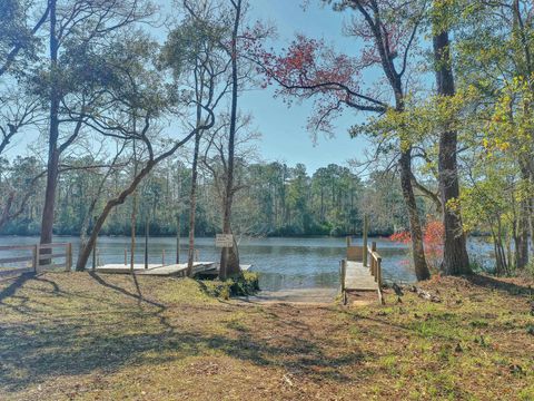 XX Mackery Wood Road Sopchoppy FL 32358