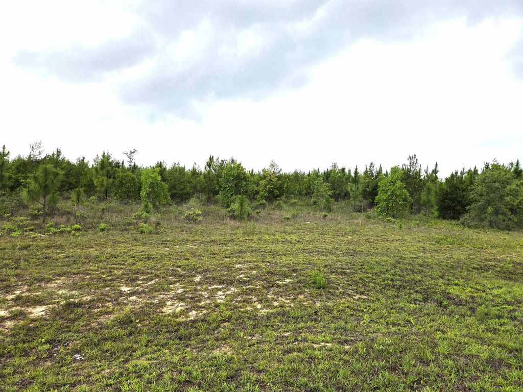 Photo of xxx NW Telogia Creek Estates W, Bristol, FL 32321 (MLS # 400359)