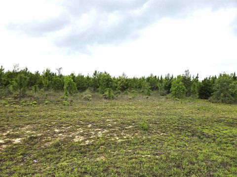 Photo of xxx NW Telogia Creek Estates W, Bristol, FL 32321 (MLS # 400359)