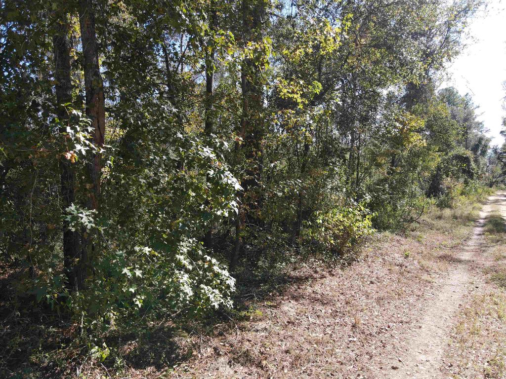 Photo of 0 NW 22nd Terrace, Jasper, FL 32052 (MLS # 392551)