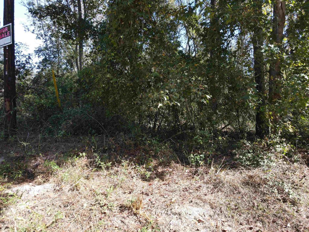 Photo of 0 NW 22nd Terrace, Jasper, FL 32052 (MLS # 392551)
