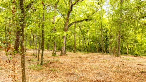Tiny photo for 0 Pisgah Church Road, Tallahassee, FL 32309 (MLS # 402536)
