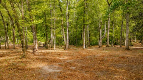 Tiny photo for 0 Pisgah Church Road, Tallahassee, FL 32309 (MLS # 402536)