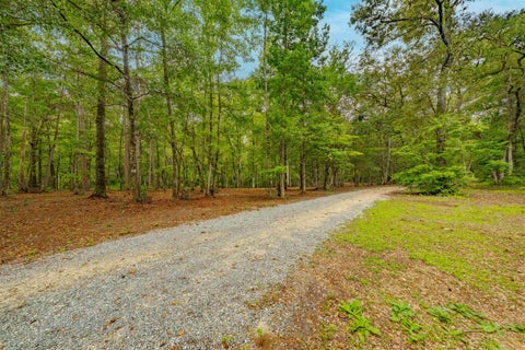 Tiny photo for 0 Pisgah Church Road, Tallahassee, FL 32309 (MLS # 402536)