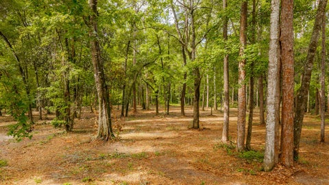 Tiny photo for 0 Pisgah Church Road, Tallahassee, FL 32309 (MLS # 402536)