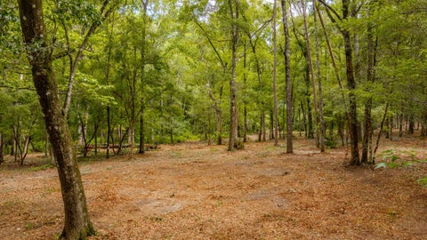 Tiny photo for 0 Pisgah Church Road, Tallahassee, FL 32309 (MLS # 402536)