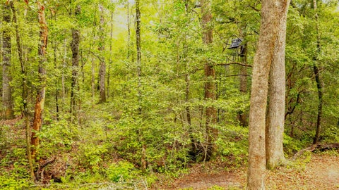 Tiny photo for 0 Pisgah Church Road, Tallahassee, FL 32309 (MLS # 402536)