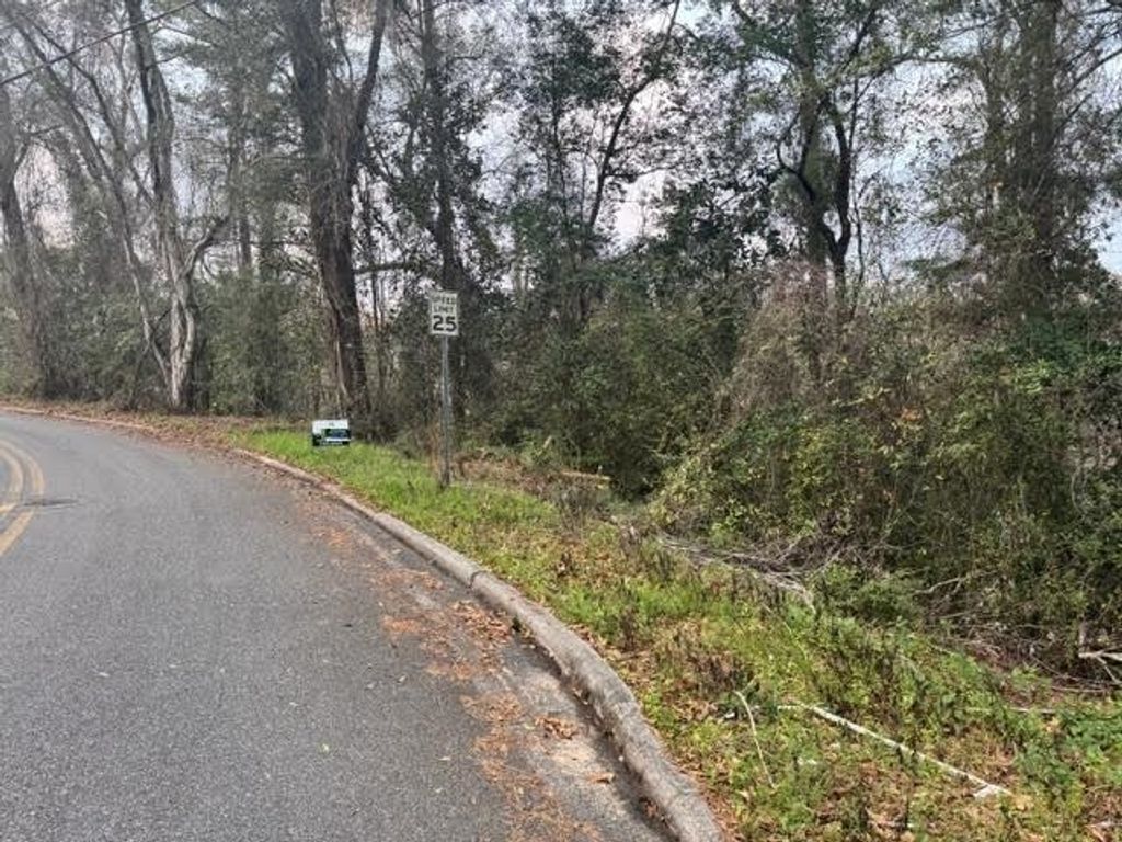 Photo of 504 N. Bellamy Drive, Quincy, FL 32351 (MLS # 396702)