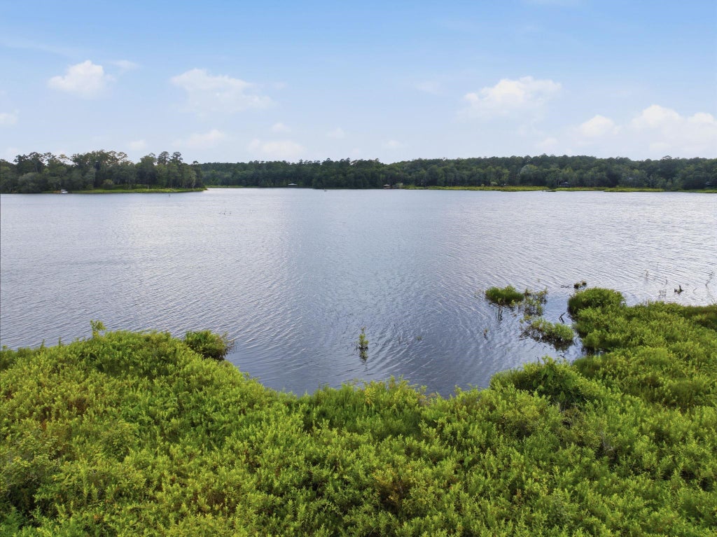 Photo of 6981 Duck Cove Road, Tallahassee, FL 32312 (MLS # 399893)