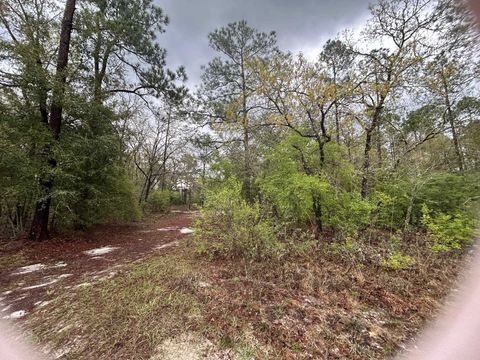 Tiny photo for 9211 Dorothy Road, Tallahassee, FL 32305 (MLS # 397608)