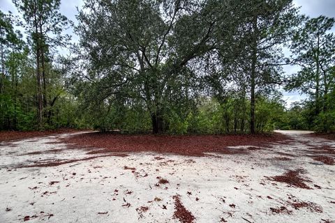 Tiny photo for 9211 Dorothy Road, Tallahassee, FL 32305 (MLS # 397608)