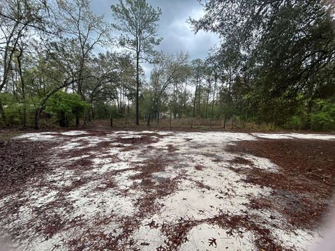 Photo of 9211 Dorothy Road, Tallahassee, FL 32305 (MLS # 397608)