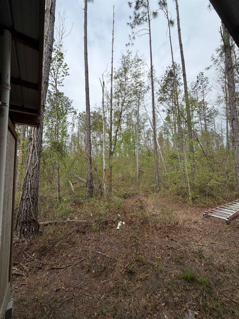 Tiny photo for 870 SW SAN PEDRO Road, Madison, FL 32340 (MLS # 397952)
