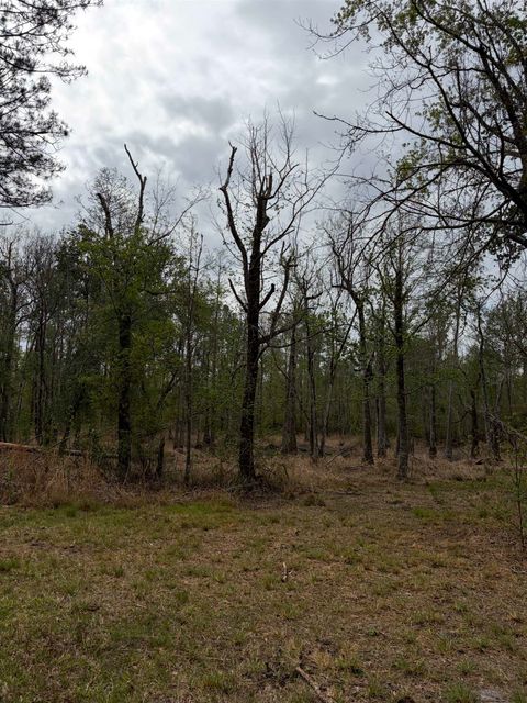 Tiny photo for 870 SW SAN PEDRO Road, Madison, FL 32340 (MLS # 397952)