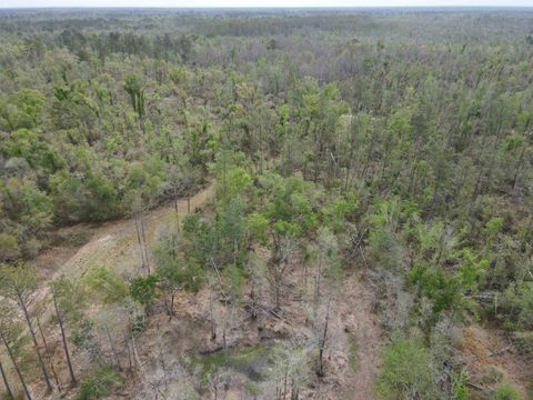 Tiny photo for 870 SW SAN PEDRO Road, Madison, FL 32340 (MLS # 397952)