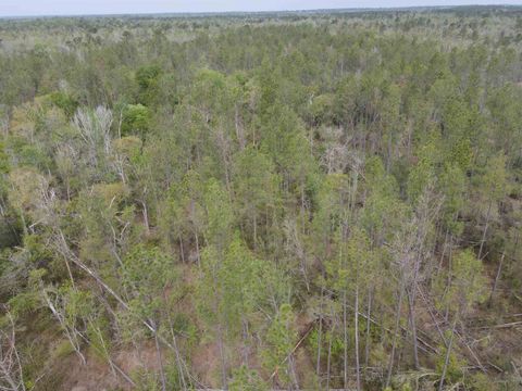 Tiny photo for 870 SW SAN PEDRO Road, Madison, FL 32340 (MLS # 397952)