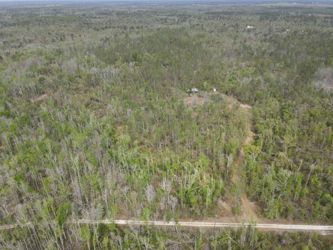 Tiny photo for 870 SW SAN PEDRO Road, Madison, FL 32340 (MLS # 397952)