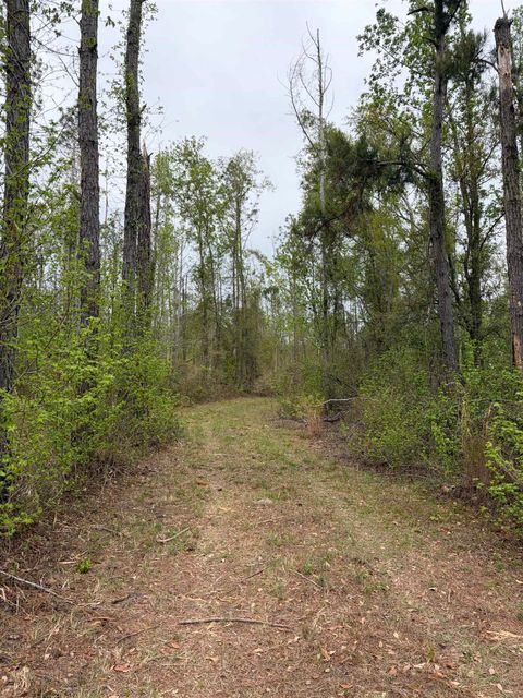 Tiny photo for 870 SW SAN PEDRO Road, Madison, FL 32340 (MLS # 397952)