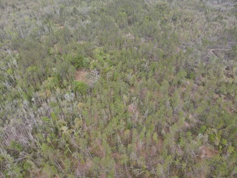 Tiny photo for 870 SW SAN PEDRO Road, Madison, FL 32340 (MLS # 397952)