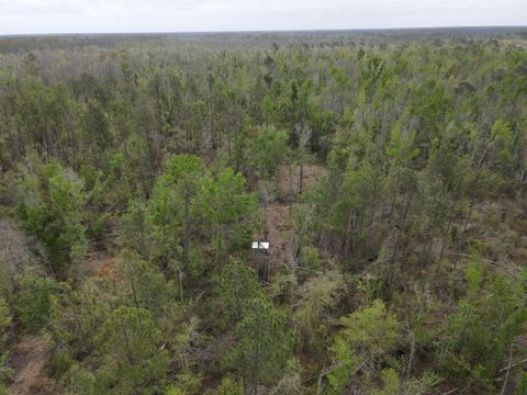 Tiny photo for 870 SW SAN PEDRO Road, Madison, FL 32340 (MLS # 397952)