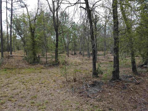 Tiny photo for 870 SW SAN PEDRO Road, Madison, FL 32340 (MLS # 397952)
