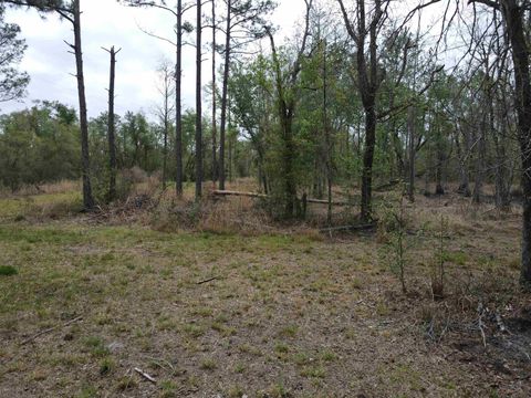 Tiny photo for 870 SW SAN PEDRO Road, Madison, FL 32340 (MLS # 397952)