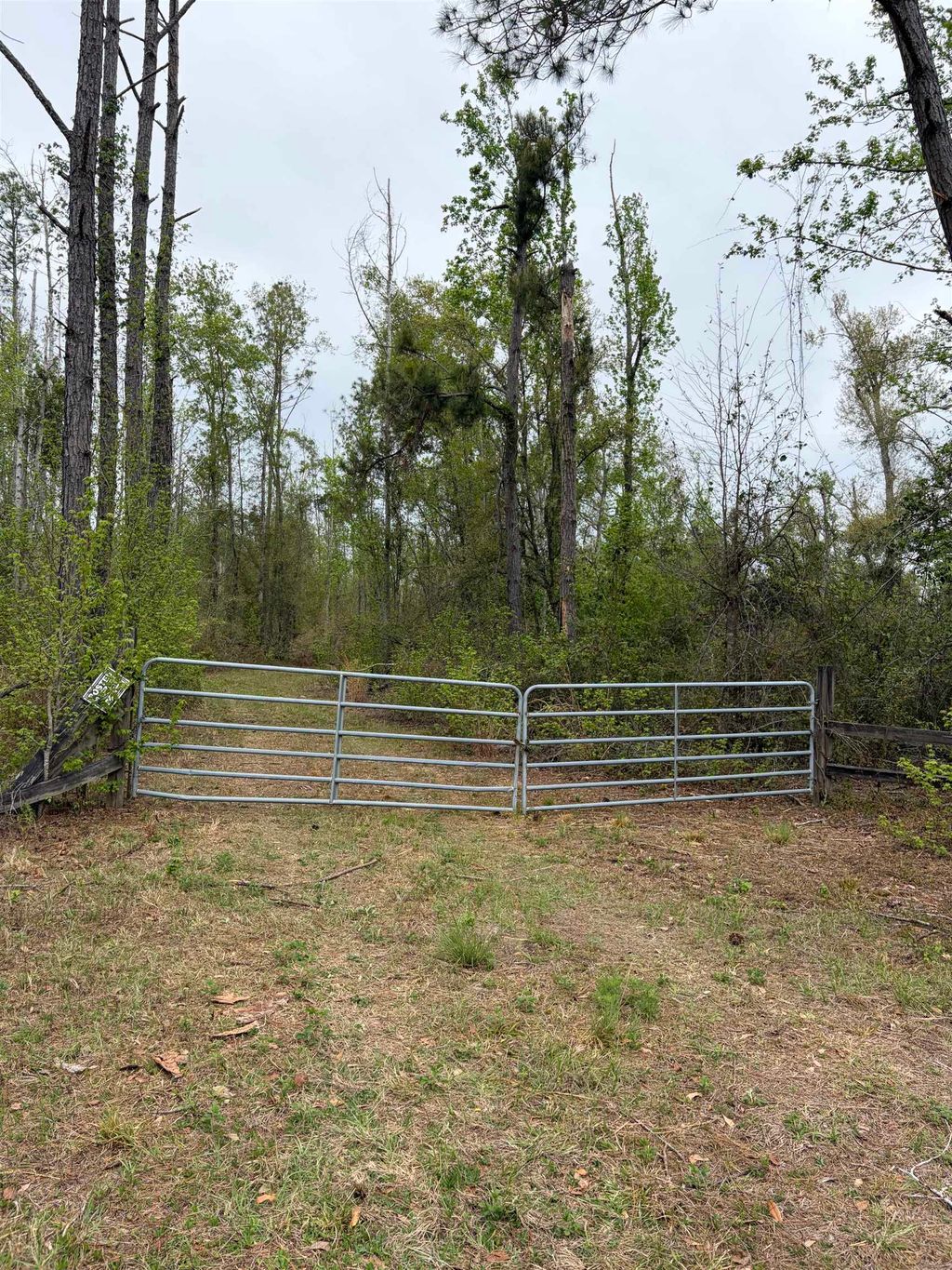 Photo of 870 SW SAN PEDRO Road, Madison, FL 32340 (MLS # 397952)