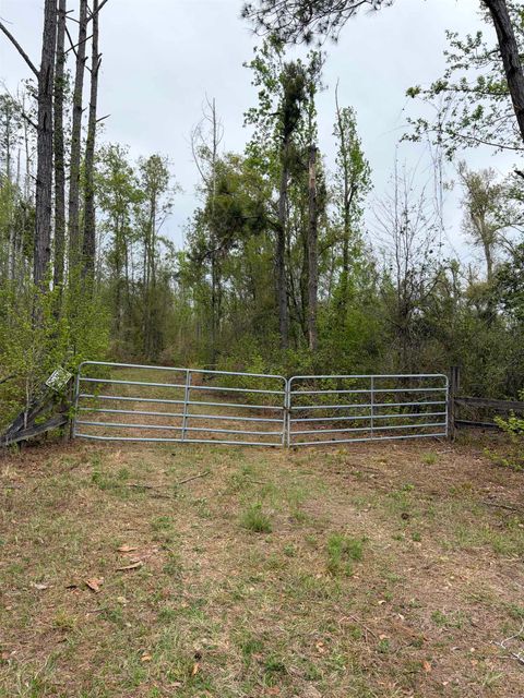 Tiny photo for 870 SW SAN PEDRO Road, Madison, FL 32340 (MLS # 397952)