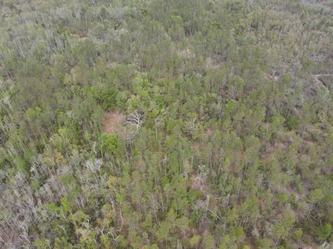 Tiny photo for 870 SW SAN PEDRO Road, Madison, FL 32340 (MLS # 397952)