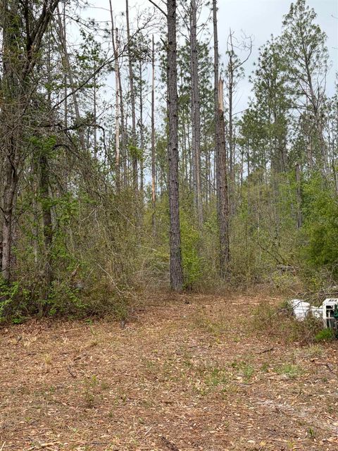 Tiny photo for 870 SW SAN PEDRO Road, Madison, FL 32340 (MLS # 397952)