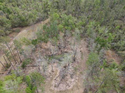Tiny photo for 870 SW SAN PEDRO Road, Madison, FL 32340 (MLS # 397952)