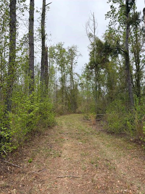 Tiny photo for 870 SW SAN PEDRO Road, Madison, FL 32340 (MLS # 397952)