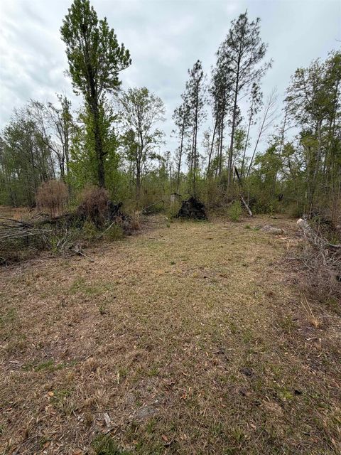 Tiny photo for 870 SW SAN PEDRO Road, Madison, FL 32340 (MLS # 397952)