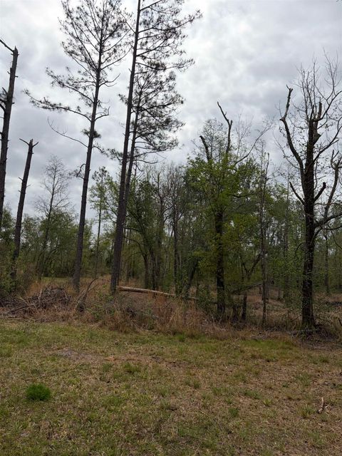 Tiny photo for 870 SW SAN PEDRO Road, Madison, FL 32340 (MLS # 397952)