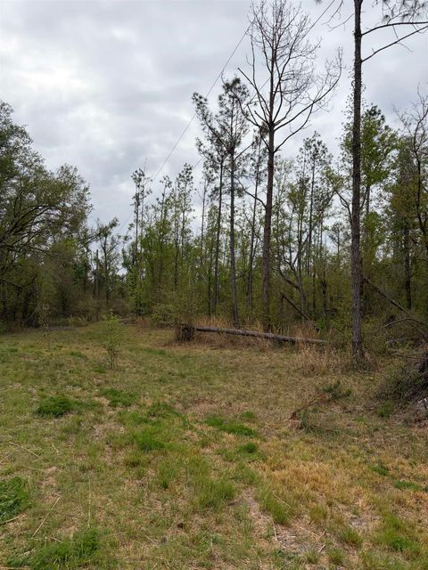 Tiny photo for 870 SW SAN PEDRO Road, Madison, FL 32340 (MLS # 397952)