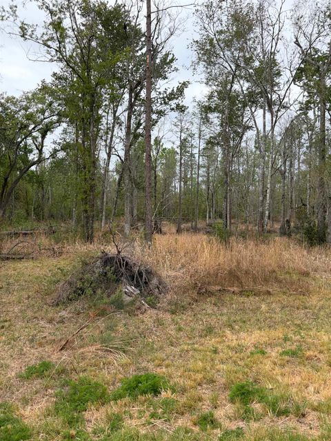 Tiny photo for 870 SW SAN PEDRO Road, Madison, FL 32340 (MLS # 397952)