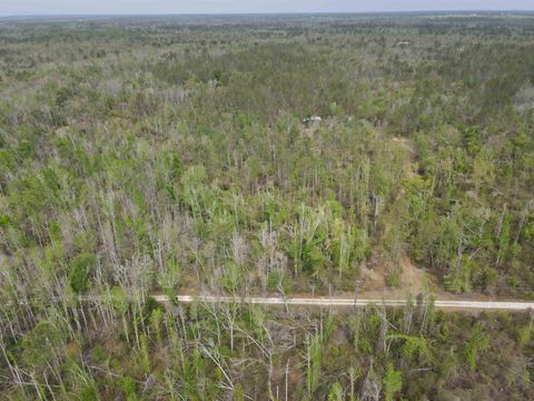 Tiny photo for 870 SW SAN PEDRO Road, Madison, FL 32340 (MLS # 397952)