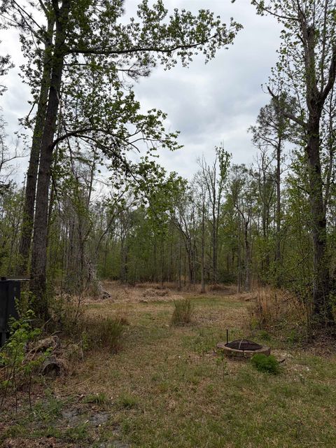 Tiny photo for 870 SW SAN PEDRO Road, Madison, FL 32340 (MLS # 397952)