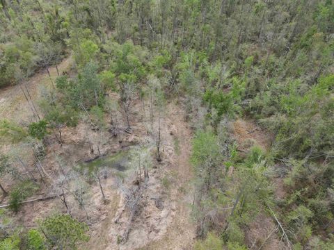 Tiny photo for 870 SW SAN PEDRO Road, Madison, FL 32340 (MLS # 397952)