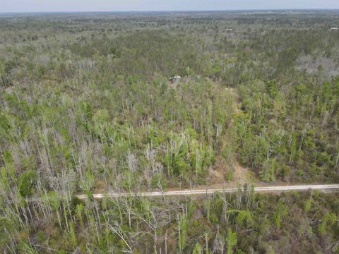 Tiny photo for 870 SW SAN PEDRO Road, Madison, FL 32340 (MLS # 397952)