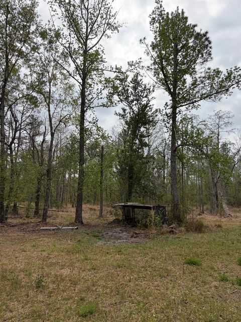 Tiny photo for 870 SW SAN PEDRO Road, Madison, FL 32340 (MLS # 397952)