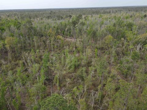 Tiny photo for 870 SW SAN PEDRO Road, Madison, FL 32340 (MLS # 397952)