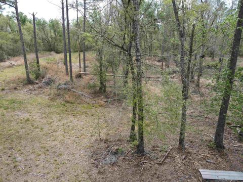 Tiny photo for 870 SW SAN PEDRO Road, Madison, FL 32340 (MLS # 397952)