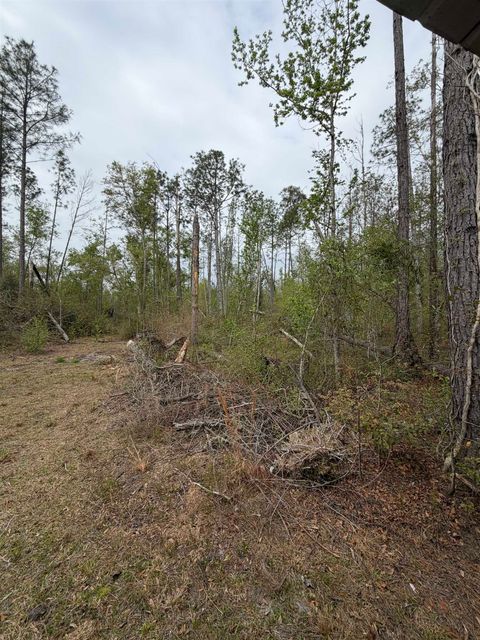 Tiny photo for 870 SW SAN PEDRO Road, Madison, FL 32340 (MLS # 397952)
