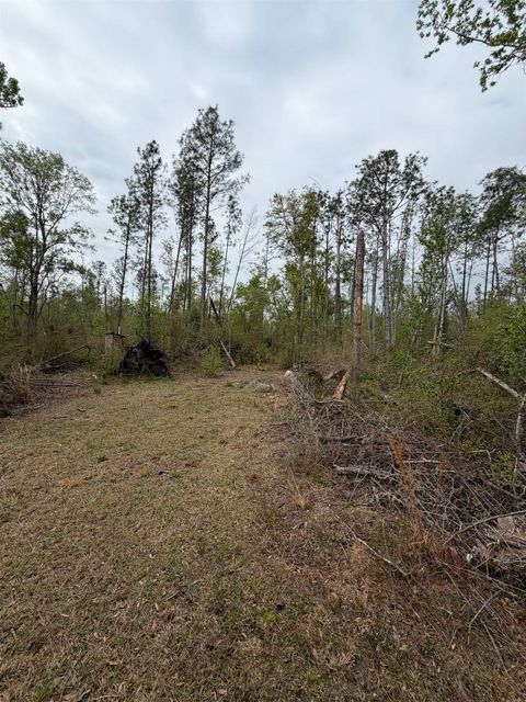 Tiny photo for 870 SW SAN PEDRO Road, Madison, FL 32340 (MLS # 397952)