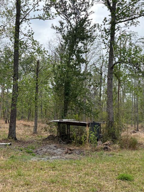 Tiny photo for 870 SW SAN PEDRO Road, Madison, FL 32340 (MLS # 397952)