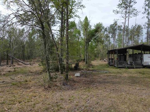 Tiny photo for 870 SW SAN PEDRO Road, Madison, FL 32340 (MLS # 397952)