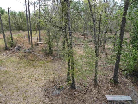 Tiny photo for 870 SW SAN PEDRO Road, Madison, FL 32340 (MLS # 397952)