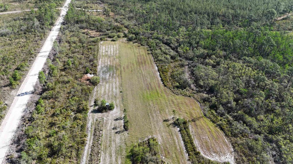 Photo of 0000 Madison Main Line Road, Greenville, FL 32331 (MLS # 398840)