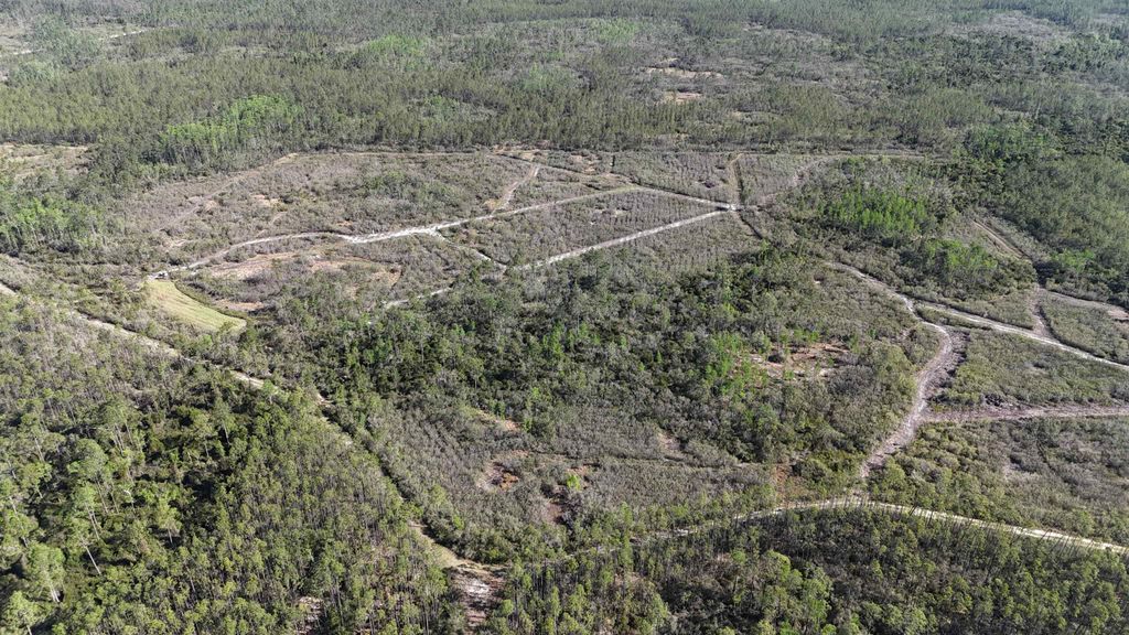 Photo of 0000 Madison Main Line Road, Greenville, FL 32331 (MLS # 398840)